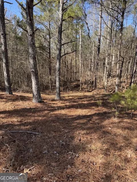 0 Mills Rd, Franklin, GA 30217 photo 4