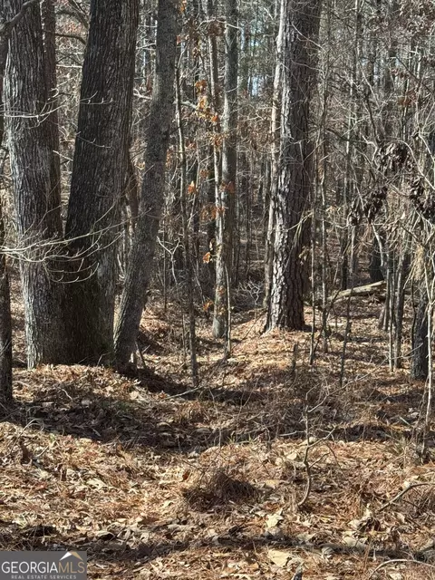 0 Mills Rd, Franklin, GA 30217 photo 3