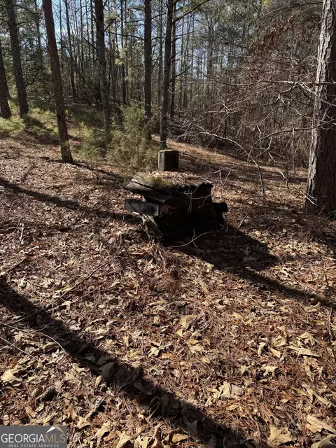 0 Mills Rd, Franklin, GA 30217 photo 5
