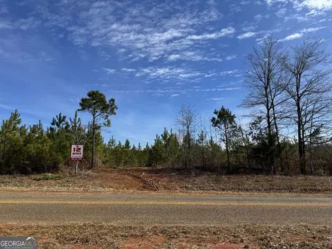 017 Dozier Rd, Ellaville, GA 31806