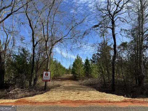 04 Dozier Rd, Ellaville, GA 31806