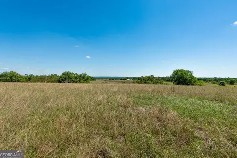 167 Hayes Rd, Mauk, GA 31058