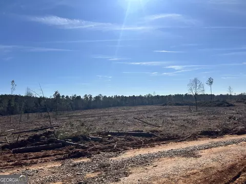 0 Mcghee Rd, Sparta, GA 31087 photo 3