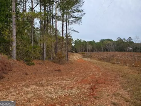 0 Mcghee Rd, Sparta, GA 31087 photo 8