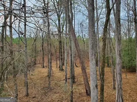 0 Mcghee Rd, Sparta, GA 31087 photo 7