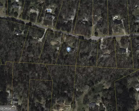 113 Bridget Dr, Hampton, GA 30228 photo 36