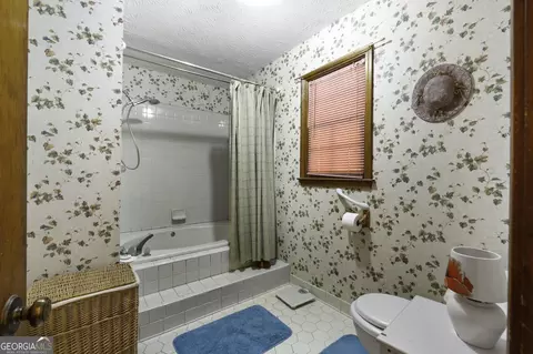 113 Bridget Dr, Hampton, GA 30228 photo 21