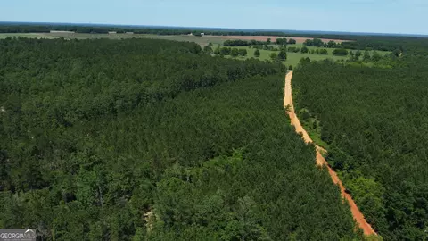 0 Brannon Montgomery Rd, Mauk, GA 31058