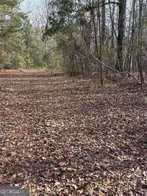 lot15 Indian Cv, Lincolnton, GA 30817