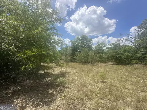 0 Hollie St #2.32 ACRES, Butler, GA 31006
