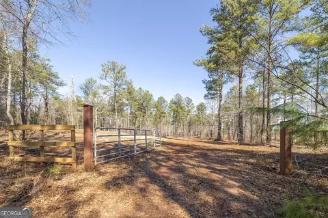 0 Dean Patrick Rd, Jackson, GA 30233 photo 4