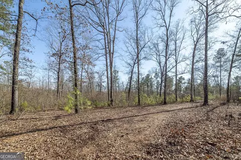 0 Dean Patrick Rd, Jackson, GA 30233 photo 18