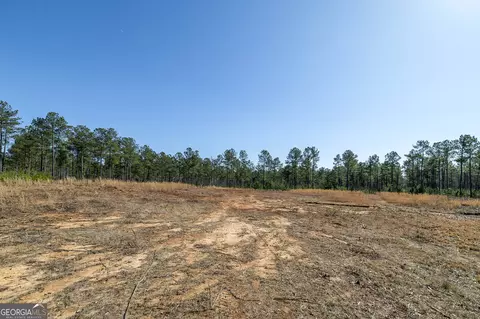 0 Dean Patrick Rd, Jackson, GA 30233 photo 12