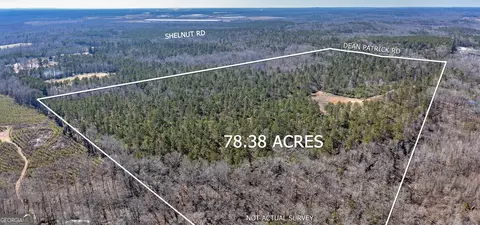 0 Dean Patrick Rd, Jackson, GA 30233 photo 3