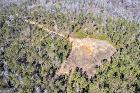 0 Dean Patrick Rd, Jackson, GA 30233 photo 12