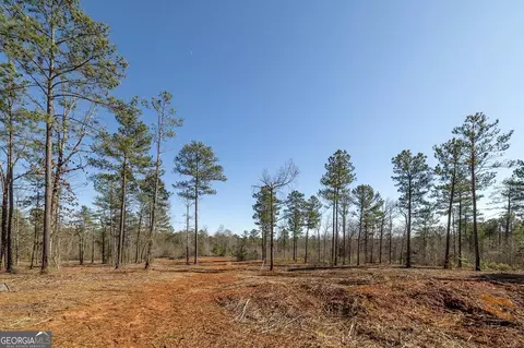 0 Dean Patrick Rd, Jackson, GA 30233 photo 30