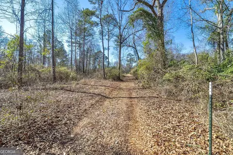 0 Dean Patrick Rd, Jackson, GA 30233 photo 19
