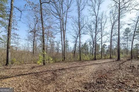 0 Dean Patrick Rd, Jackson, GA 30233 photo 35
