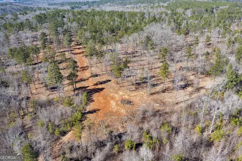 0 Dean Patrick Rd, Jackson, GA 30233 photo 14