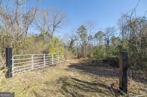 0 Dean Patrick Rd, Jackson, GA 30233 photo 18