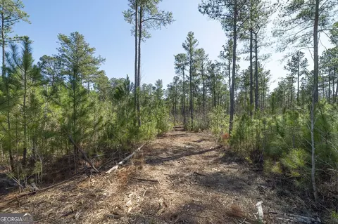 0 Dean Patrick Rd, Jackson, GA 30233 photo 25