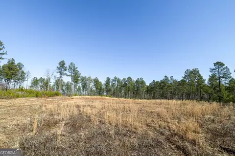 0 Dean Patrick Rd, Jackson, GA 30233 photo 23