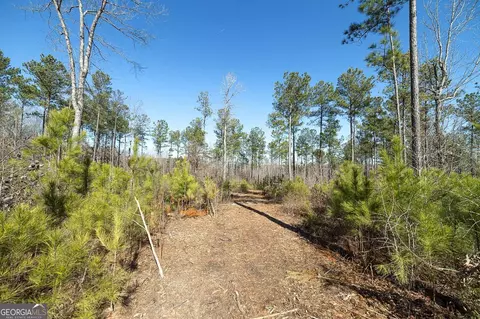 0 Dean Patrick Rd, Jackson, GA 30233 photo 24