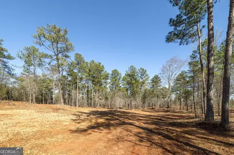 0 Dean Patrick Rd, Jackson, GA 30233 photo 28