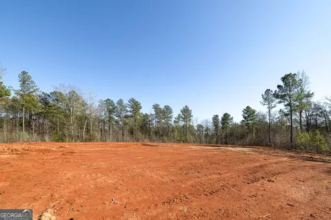0 Dean Patrick Rd, Jackson, GA 30233 photo 33