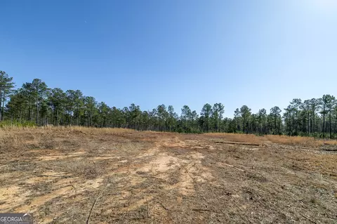 0 Dean Patrick Rd, Jackson, GA 30233 photo 22