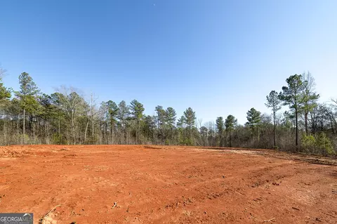 0 Dean Patrick Rd, Jackson, GA 30233 photo 33