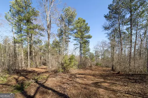 0 Dean Patrick Rd, Jackson, GA 30233 photo 7