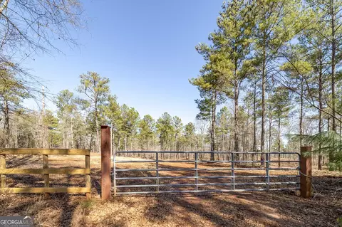 0 Dean Patrick Rd, Jackson, GA 30233 photo 8