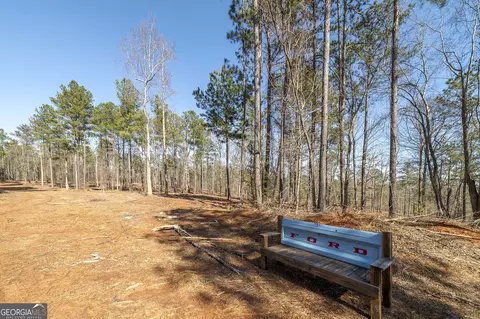 0 Dean Patrick Rd, Jackson, GA 30233 photo 29
