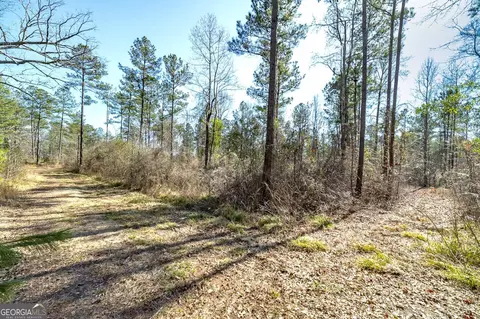 0 Dean Patrick Rd, Jackson, GA 30233 photo 20