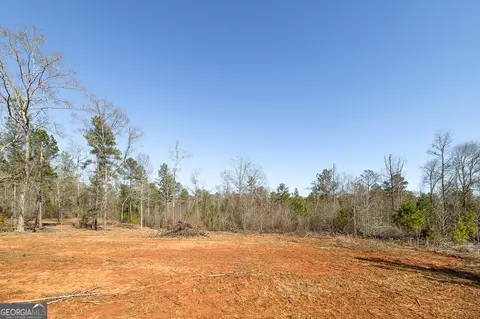 0 Dean Patrick Rd, Jackson, GA 30233 photo 31