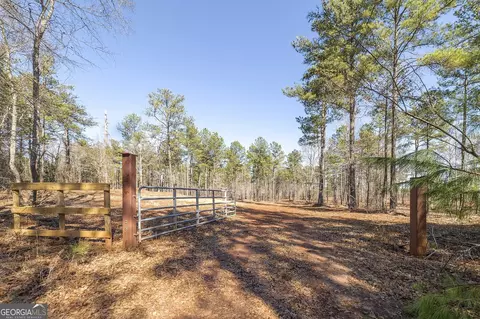 0 Dean Patrick Rd, Jackson, GA 30233 photo 9