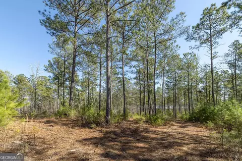 0 Dean Patrick Rd, Jackson, GA 30233 photo 6