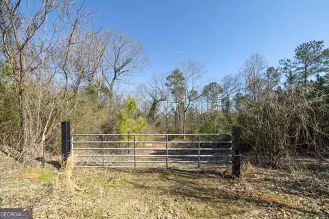0 Dean Patrick Rd, Jackson, GA 30233 photo 17