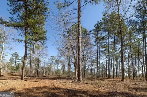 0 Dean Patrick Rd, Jackson, GA 30233 photo 10