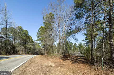 0 Dean Patrick Rd, Jackson, GA 30233 photo 27
