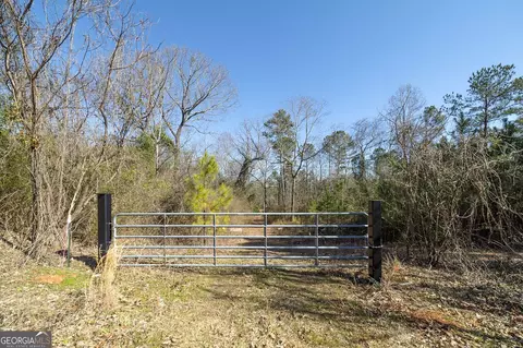 0 Dean Patrick Rd, Jackson, GA 30233 photo 17