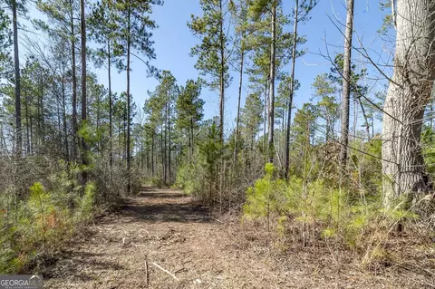 0 Dean Patrick Rd, Jackson, GA 30233 photo 26
