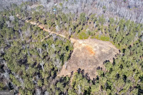 0 Dean Patrick Rd, Jackson, GA 30233 photo 12