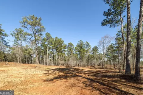 0 Dean Patrick Rd, Jackson, GA 30233 photo 28