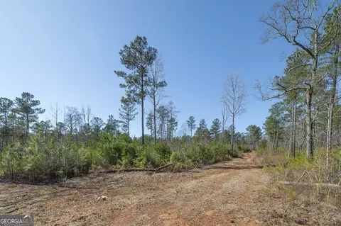 0 Dean Patrick Rd, Jackson, GA 30233 photo 21