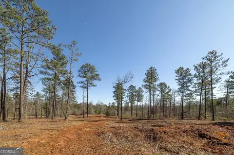0 Dean Patrick Rd, Jackson, GA 30233 photo 30