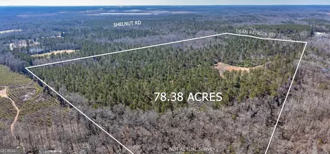 0 Dean Patrick Rd, Jackson, GA 30233 photo 38