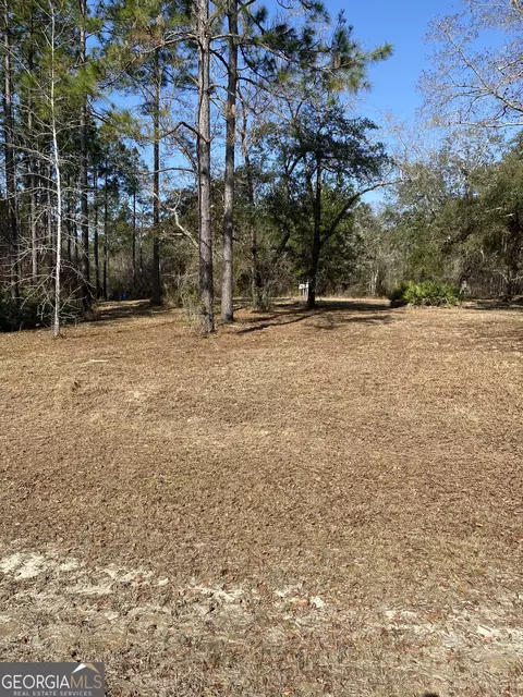 lot1 1185 Janells River Dr, Folkston, GA 31537