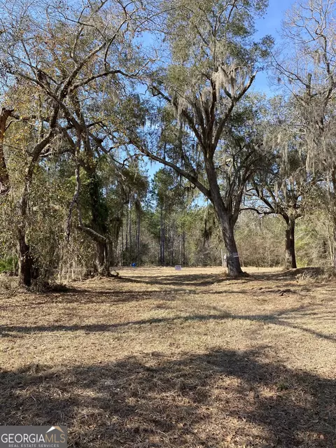 lot2 1189 Janells River Dr, Folkston, GA 31537